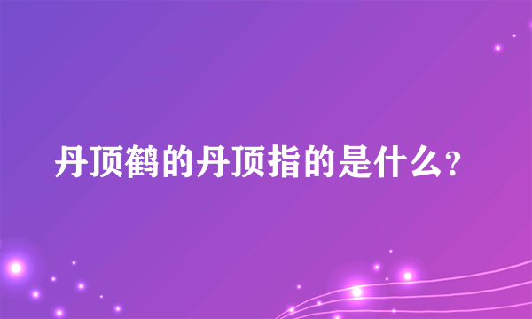 丹顶鹤的丹顶指的是什么？