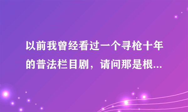 以前我曾经看过一个寻枪十年的普法栏目剧，请问那是根据什么真实事件改编的？