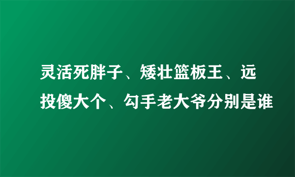 灵活死胖子、矮壮篮板王、远投傻大个、勾手老大爷分别是谁