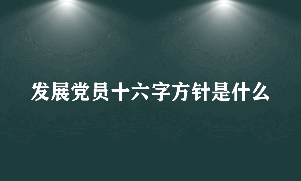 发展党员十六字方针是什么