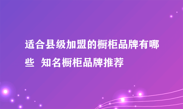 适合县级加盟的橱柜品牌有哪些  知名橱柜品牌推荐