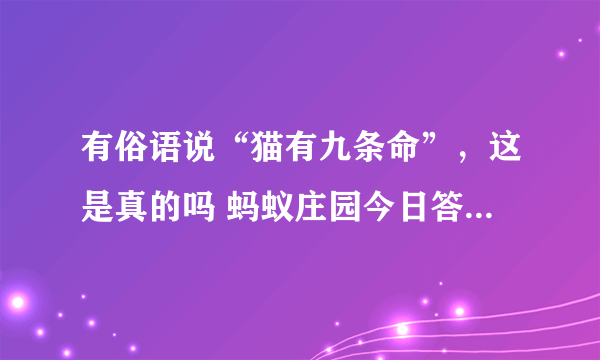 有俗语说“猫有九条命”，这是真的吗 蚂蚁庄园今日答案7.22