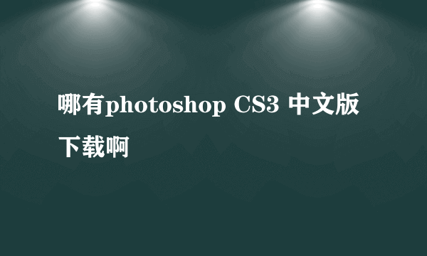 哪有photoshop CS3 中文版下载啊