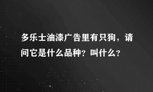 多乐士油漆广告里有只狗，请问它是什么品种？叫什么？