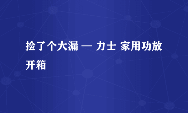 捡了个大漏 — 力士 家用功放 开箱