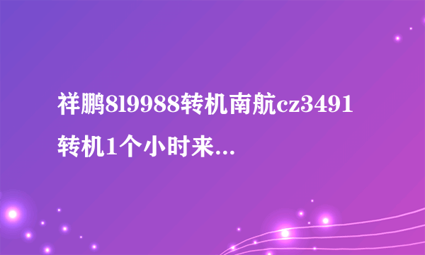 祥鹏8l9988转机南航cz3491转机1个小时来得及么 9点55到 第二班11点20飞