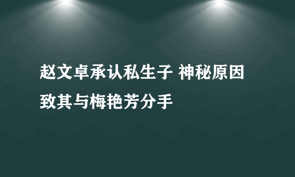 赵文卓承认私生子 神秘原因致其与梅艳芳分手