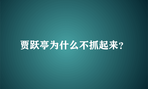 贾跃亭为什么不抓起来？