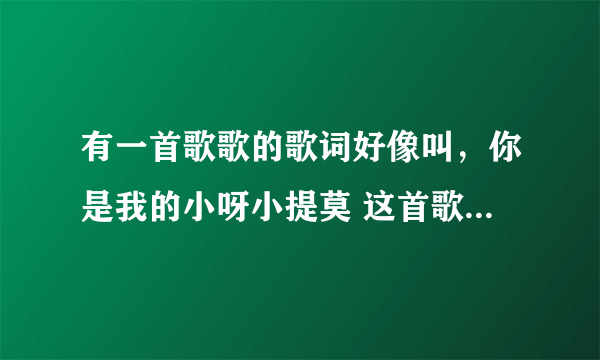 有一首歌歌的歌词好像叫，你是我的小呀小提莫 这首歌叫什么？