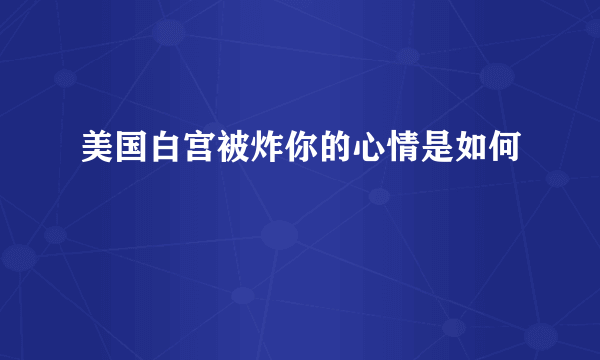 美国白宫被炸你的心情是如何