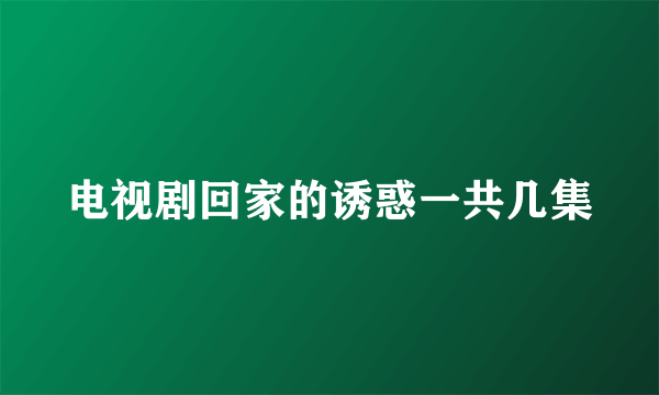 电视剧回家的诱惑一共几集