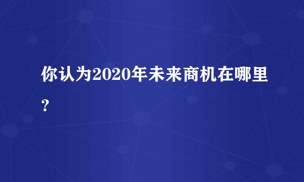 你认为2020年未来商机在哪里？