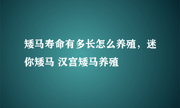 矮马寿命有多长怎么养殖，迷你矮马 汉宫矮马养殖