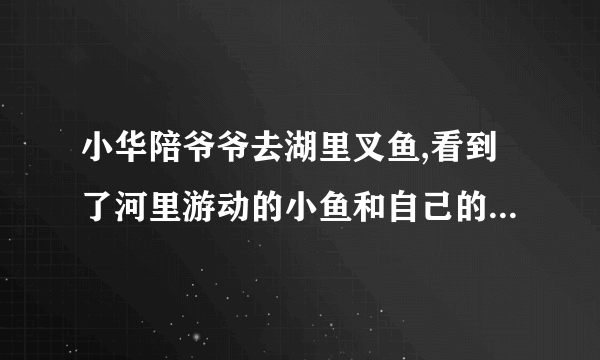 小华陪爷爷去湖里叉鱼,看到了河里游动的小鱼和自己的倒影,根据这个情景回答如下问题:(1)小华看到“鱼”的比实际位置______了(升高/降低),这是光的______现象造成的。若小华将电筒光对着看到的“鱼”射入,______(能/不能)照亮鱼。(2)小华看到自己的倒影是______像(实/虚),如果小华到水面的距离是2m,则像到水面的距离______2m(大于/小于/等于/)。