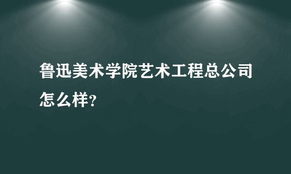 鲁迅美术学院艺术工程总公司怎么样？