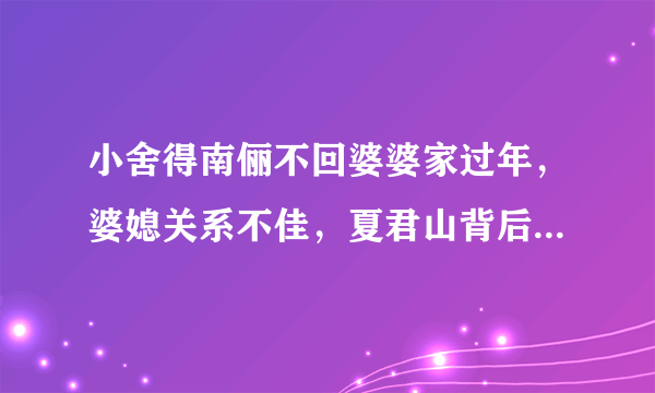 小舍得南俪不回婆婆家过年，婆媳关系不佳，夏君山背后故事揭晓，你怎么看？