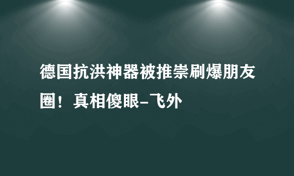 德国抗洪神器被推崇刷爆朋友圈！真相傻眼-飞外