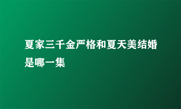 夏家三千金严格和夏天美结婚是哪一集