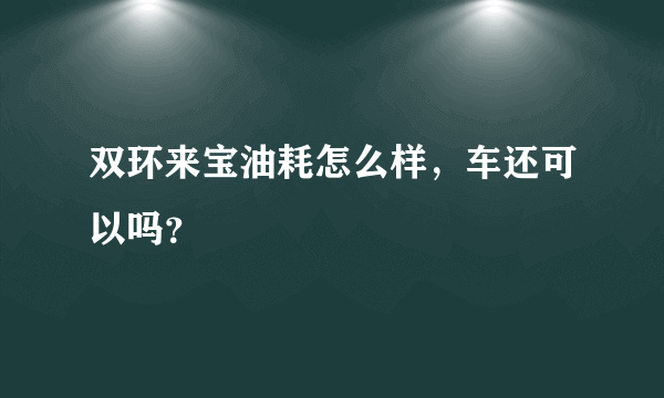 双环来宝油耗怎么样，车还可以吗？