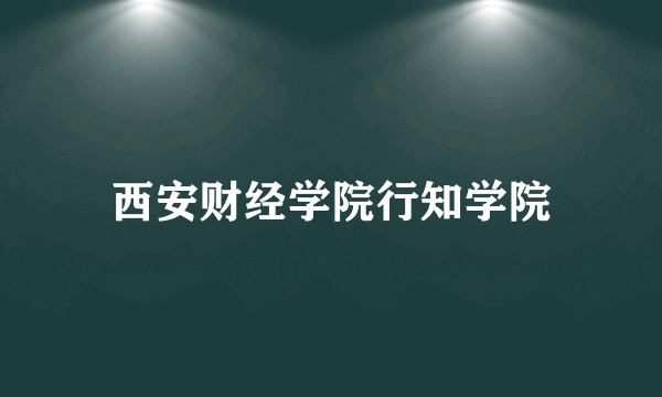 西安财经学院行知学院