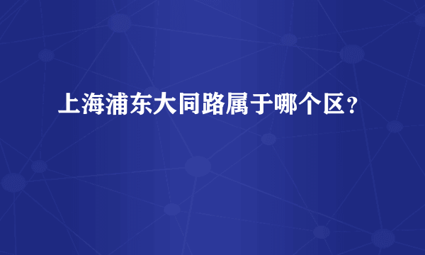 上海浦东大同路属于哪个区？