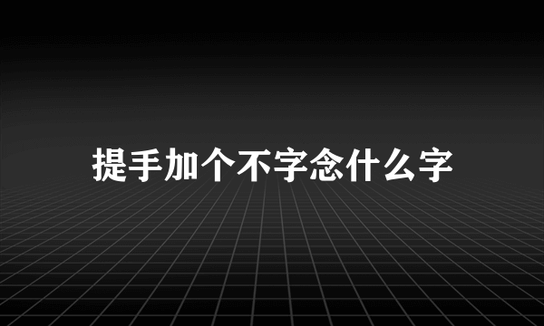 提手加个不字念什么字