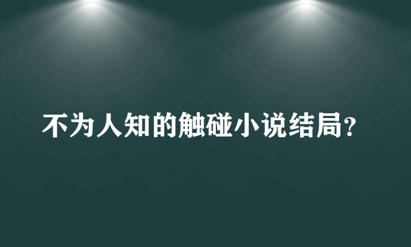 不为人知的触碰小说结局？