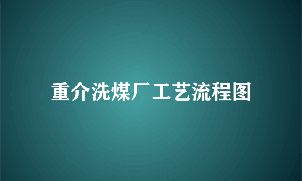 重介洗煤厂工艺流程图