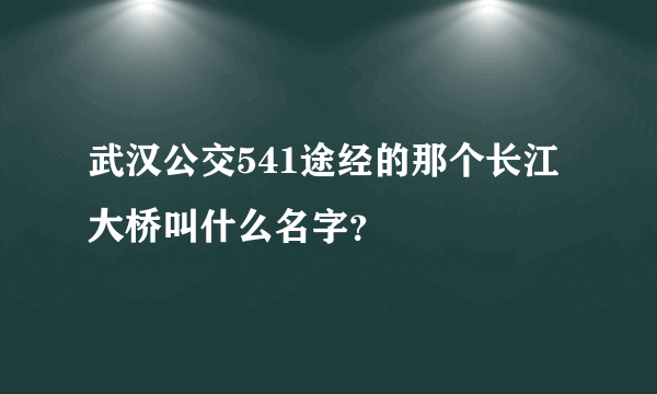 武汉公交541途经的那个长江大桥叫什么名字？