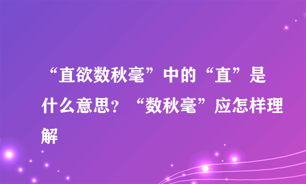 “直欲数秋毫”中的“直”是什么意思？“数秋毫”应怎样理解