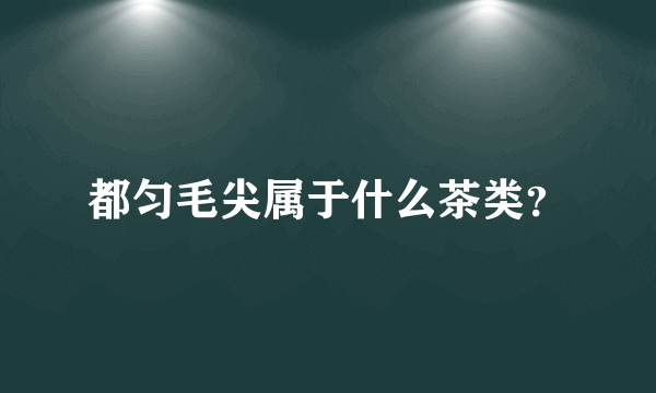 都匀毛尖属于什么茶类？