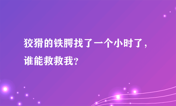 狡猾的铁腭找了一个小时了，谁能救救我？