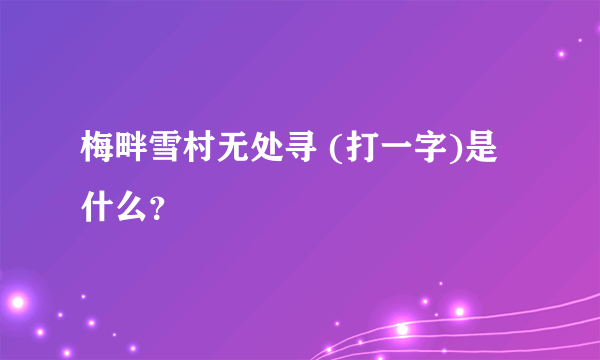 梅畔雪村无处寻 (打一字)是什么？