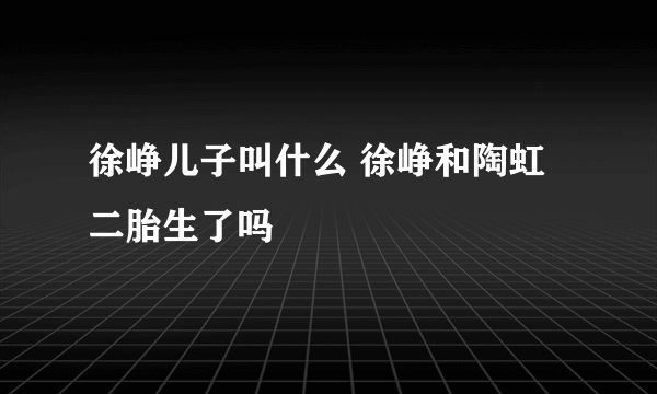 徐峥儿子叫什么 徐峥和陶虹二胎生了吗