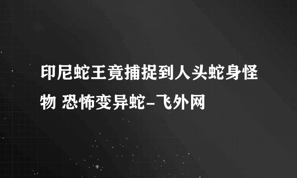 印尼蛇王竟捕捉到人头蛇身怪物 恐怖变异蛇-飞外网