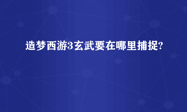 造梦西游3玄武要在哪里捕捉?