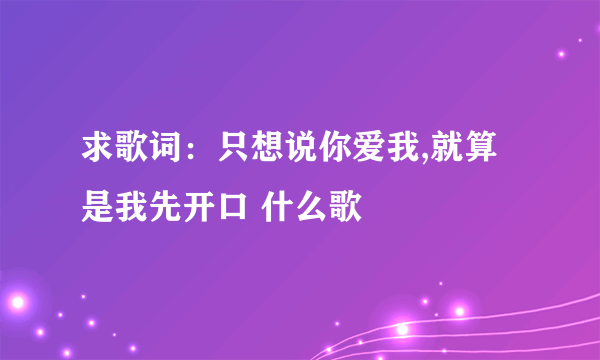 求歌词：只想说你爱我,就算是我先开口 什么歌