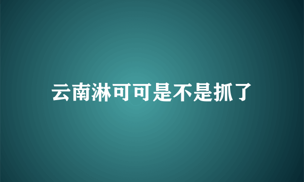 云南淋可可是不是抓了