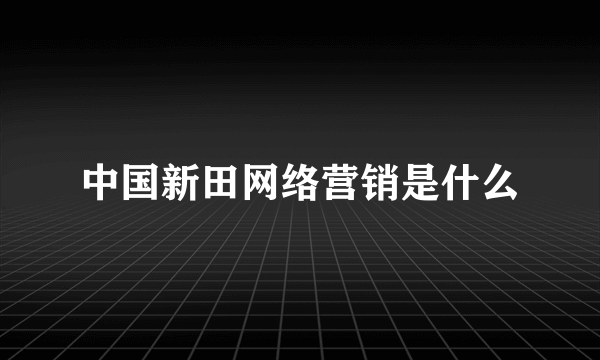 中国新田网络营销是什么