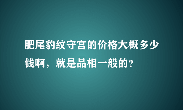 肥尾豹纹守宫的价格大概多少钱啊，就是品相一般的？