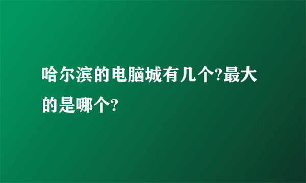 哈尔滨的电脑城有几个?最大的是哪个?