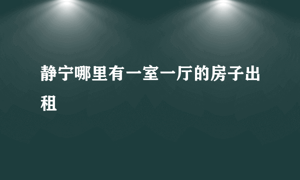 静宁哪里有一室一厅的房子出租