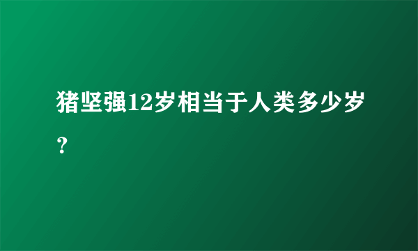 猪坚强12岁相当于人类多少岁？