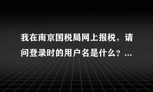 我在南京国税局网上报税，请问登录时的用户名是什么？初始密码是什么？