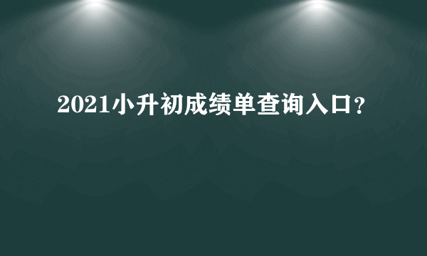 2021小升初成绩单查询入口？