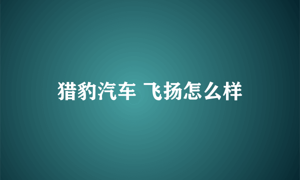 猎豹汽车 飞扬怎么样