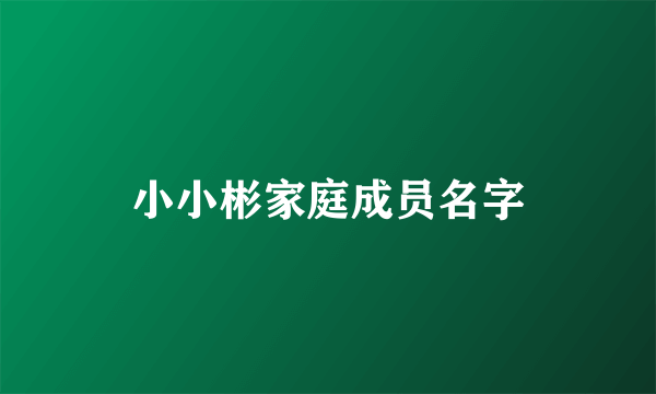 小小彬家庭成员名字