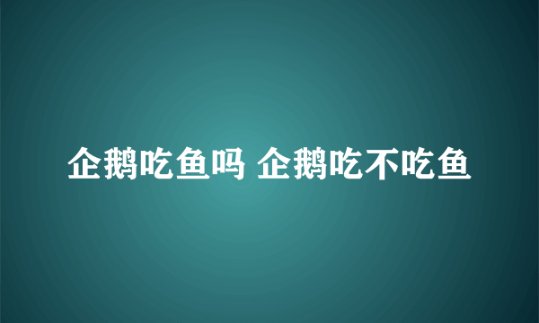 企鹅吃鱼吗 企鹅吃不吃鱼