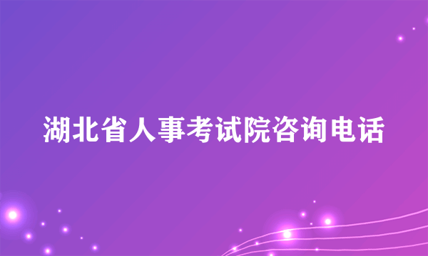 湖北省人事考试院咨询电话