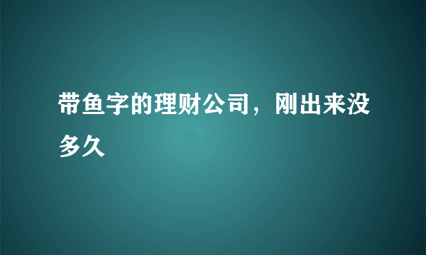 带鱼字的理财公司，刚出来没多久